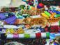 Preview: Patchworkstoff Katzen auf Stoffstapel Detailansicht